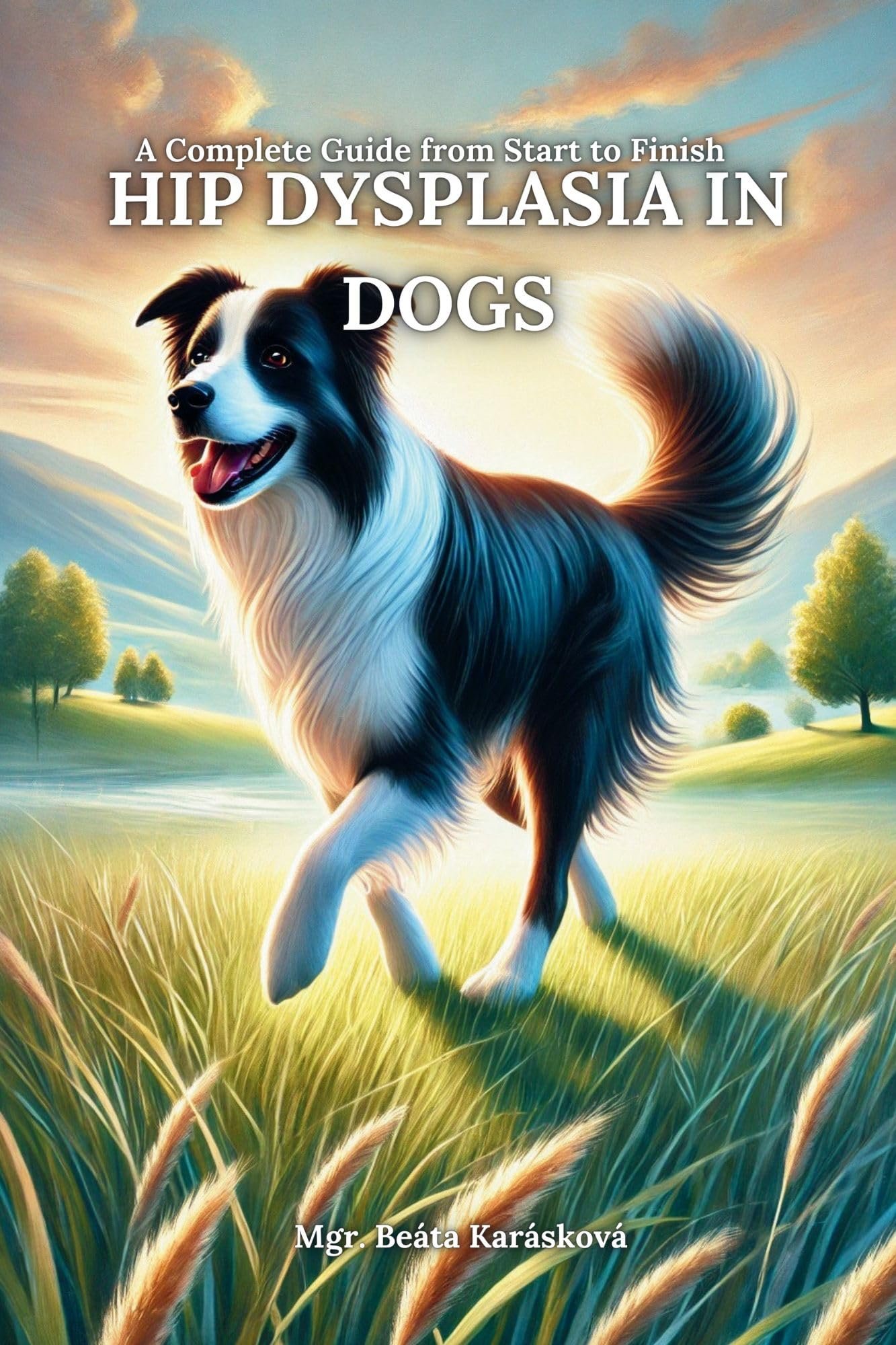 Cover of Hip Dysplasia in Dogs